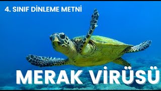 4Sınıf Dinleme Metinleri MERAK VİRÜSÜ [upl. by Rosanna801]