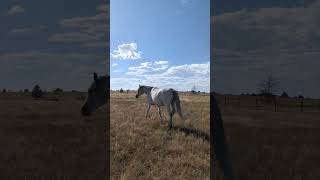 There is still a bit of a drought going on in Colorado right now [upl. by Bornie]