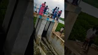 Korattur lake theribgm song lovesong ytshort [upl. by Hanad275]