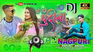 Le Lo Pudina Nagpuri Song  Suman Gupta New Sabse Hvy Dj Remix  New Nagpuri Dj Song  DJ Roshan SK [upl. by Daile]