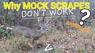 Why Mock Scrapes for Whitetails Dont Work [upl. by Ordnagela]