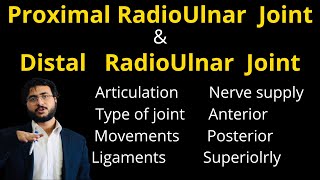 Proximal amp Distal Radioulnar joint  Difference  Type  Ligaments  Articulation  Nerve supply [upl. by Yolanda]