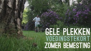 GELE PLEKKEN IN HET GAZON  HET GRAS HEEFT VOEDING NODIG 🤯  MOOWY Tips amp Tricks [upl. by Nehepts]