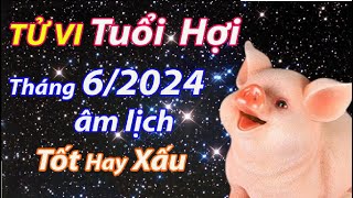 Tử vi tuổi Hợi tháng 62024 âm lịch tốt hay xấu [upl. by Lamori]