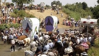 La Romería del Rocío camino a la Aldea Almonte Huelva [upl. by Ennyroc833]