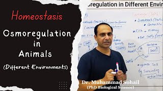 Osmoregulation in Animals  Homeostasis  12th Biology [upl. by Eneri79]