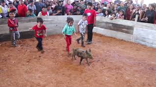 JUEGO ATRAPANDO EL PUERQUITO EN SAN MATEO SINDIHUI 2022 [upl. by Nnhoj213]