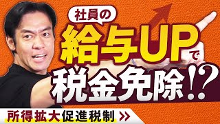 最低賃金上昇最大25又は15社員の給与を増やしたら税金の一部免除が受けられます！【所得拡大促進税制が税制改正により使いやすくなります】 [upl. by Callan]