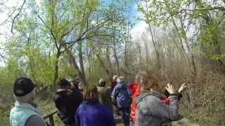 Magee Marsh 2014 [upl. by Haldis835]