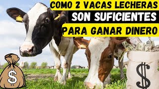 como 2 vacas lecheras es suficientes para ganar dinero y comprar mas en el futuro empieza desde cero [upl. by Aehta938]