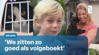 Drukte in het Dierenhotel Niet alleen de baasjes gaan er even tussenuit  L1 Nieuws [upl. by Nnylrebma]