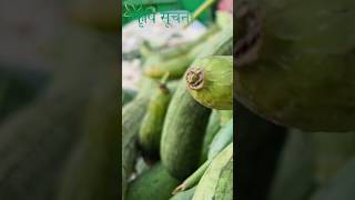 kalimati tarkari rate today in nepal krishisuchana kalimatitarkaribazar shortvideo krishinews [upl. by Linnette]