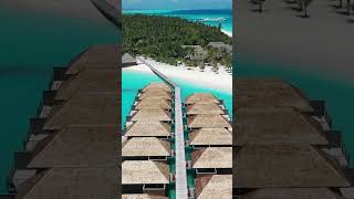 Did you enjoyed the Meeru Island Resort maldives meeruisland travel [upl. by Heimlich]