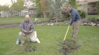 How to Reseed a Lawn [upl. by Eiaj]