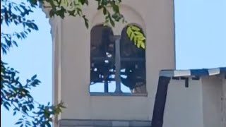 Le campane di Bergamo  Chiesa di S Agata nel Carmine 1 video 815 [upl. by Eillom]