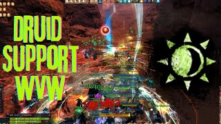 GW2 WvW  Support DRUID Zerg Battle Medic  Healing and Cleansing Power POV Reset 3rd Nov 2023 [upl. by Atived]