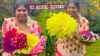 கனவு தோட்டத்து பூWINTER GARDENING englandthamizhachi [upl. by Akiret]