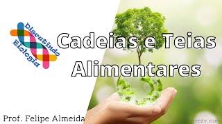 Aula de Cadeias e Teias Alimentares Ecologia  Prof Felipe Almeida [upl. by Leaj]