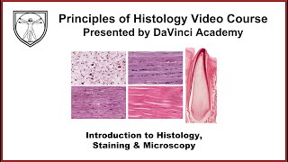 Introduction to Histology Staining and Microscopy [upl. by Zakarias977]