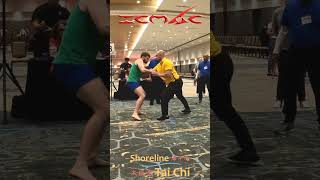 Real Tai Chi Master vs MMA Fighter Push Hands taijiquan taichichuan martialarts [upl. by Ula908]