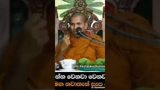 🙏 sinhala temple srilanka youtube shortvideos [upl. by Ellimahs]