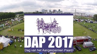 DAP 2017 [upl. by Nal]