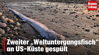 Zweiter „Weltuntergangsfisch“ an USKüste gespült  kronetv NEWS [upl. by Znarf79]