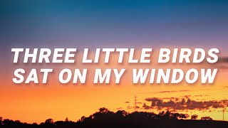 Ritt Momney  Three little birds sat on my window Put Your Records On Lyrics [upl. by Desiri]