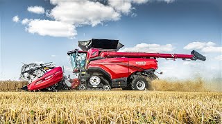 🤩 NOVÝ CASE IH AF10 v České Republice 🇨🇿  Žně pšenice 2024 🌾  ZD Roštýn [upl. by Granthem368]