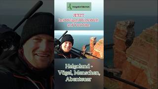 HELGOLAND  Die Natur und ReiseDoku JETZT bei WeigelsWildeWelt auf YouTube Link in Kommentaren 💚 [upl. by Llerrod]