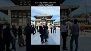 Tōdaiji temple complex 1 of the 7 Great Temples of Nara Japan The frequency is extraordinary [upl. by Anomahs479]