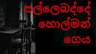 පල්ලෙබද්දේ හොල්මන් ගෙයsinhala holman kathaghost video [upl. by Tenrag]