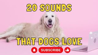 20 Sounds that Dogs Love [upl. by Nylasoj36]