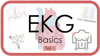 EKG Basics  Step by Step  Grundlagen Einthoven Frequenz Lagetyp PWelle QRS EKGKurs [upl. by Orvan]