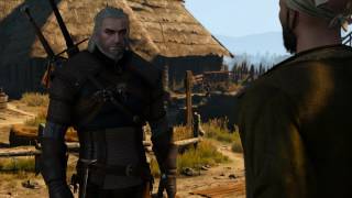 The Witcher 3 mods  The Gwent Card Dealer [upl. by Yelha329]