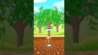 Tui akhan take chole ja ll new cartoon video  tik tok  shorts [upl. by Gene]