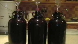 How to Make Wine from Grapes at Home [upl. by Lindholm496]