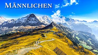 Männlichen 🇨🇭 Walking in the Swiss Alps with Jungfrau views ⛰️ Switzerland 4K [upl. by Martin]