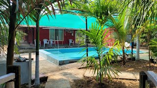 Tree House Resort with pool  alibaug  Revdanda beach alibaug ⛱️  Revdanda Fort alibaug [upl. by Elsie]