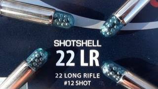 22 LR CCI Shotshell [upl. by Tonnie658]