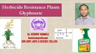 GLYPHOSATE Herbicide [upl. by Assiralk]