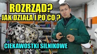 ROZRZĄD  CO TO JEST JAK DZIAŁA CZY WYMIENIAĆ CIEKAWOSTKI SILNIKOWE [upl. by Akino]