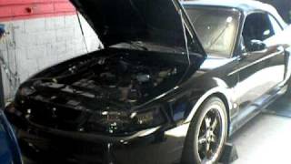 2003 Twin Turbo Cobra Dyno 19lbs [upl. by Airuam804]