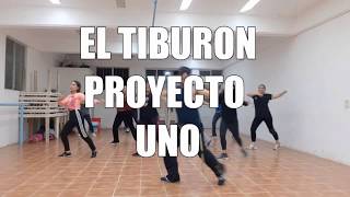 EL TIBURON PROYECTO UNO COREO [upl. by Eilsel18]