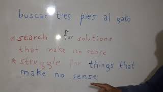 Spanish idiom quotbuscar tres pies al gatoquot [upl. by Arun]