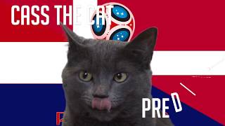 Croatia vs Denmark  Round of 16  2018 FIFA World Cup Cass the Cat Prediction [upl. by Lemmueu]