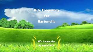 Bartonella  Rife Frequency [upl. by Eindys]