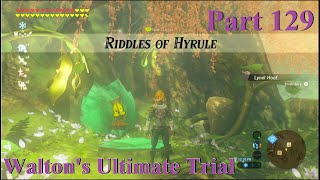 Zelda  Botw  Riddles of Hyrule Waltons Side Quest [upl. by O'Donovan]