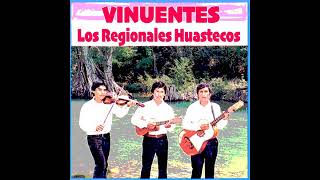 MIX LOS REGIONALES HUASTECOS 10 VINUETES [upl. by Uhile]