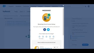 Marketing Cloud Connect Setup  Trailhead Salesforce [upl. by Frankel218]